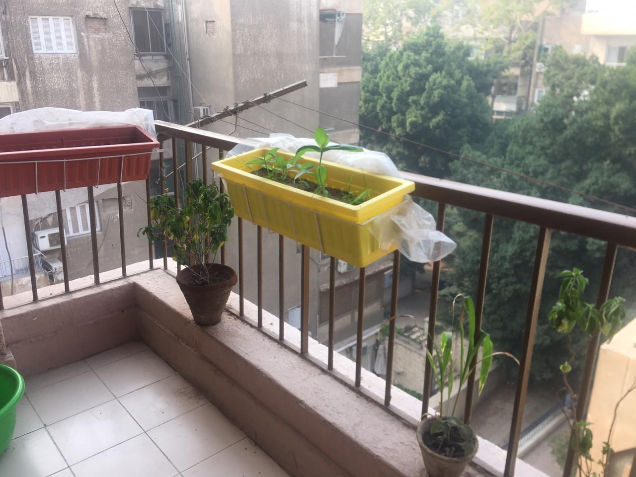 Flat for sale in Degla, Maadi