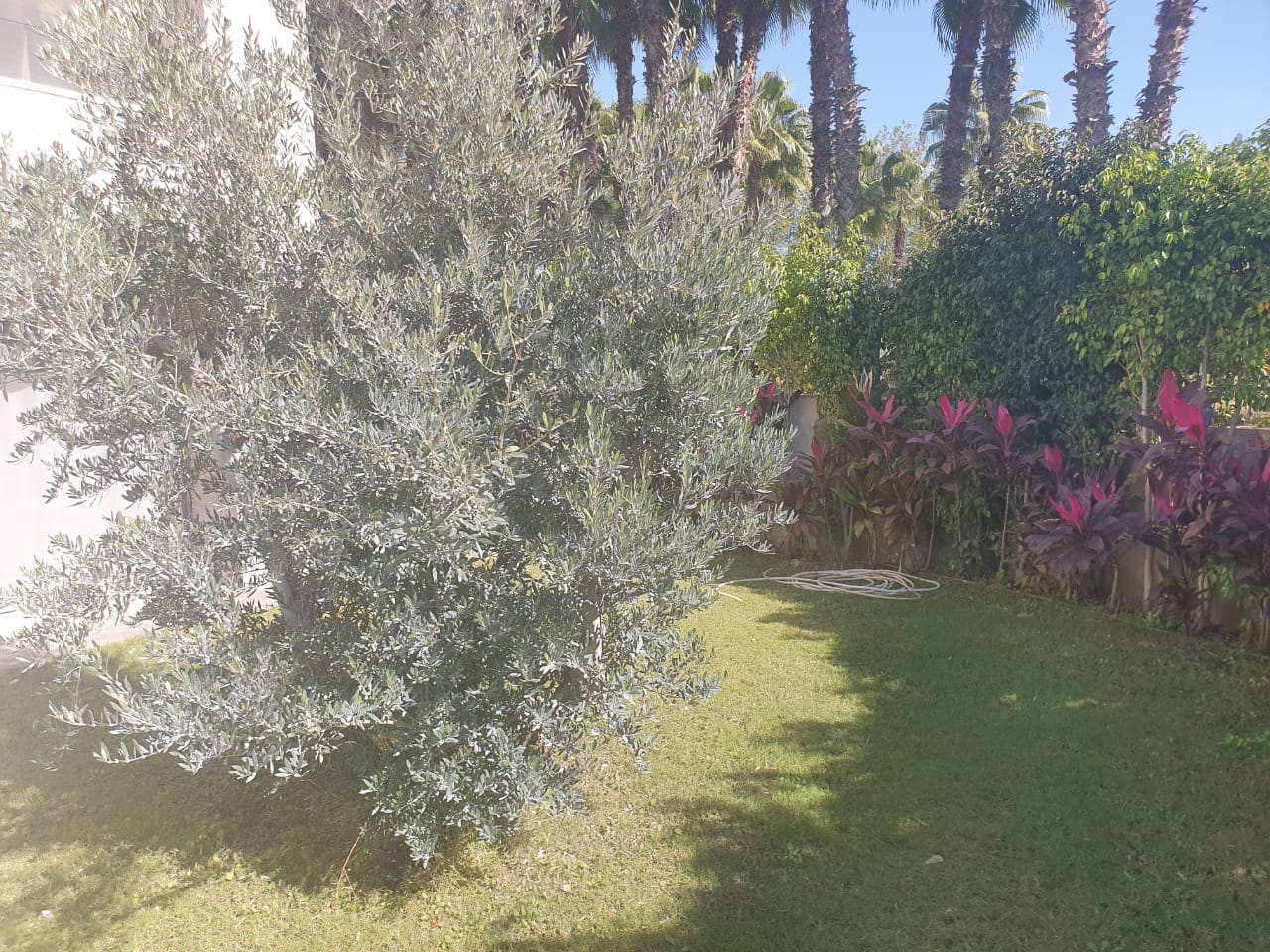 Maadi Sarayat Apartment for rent