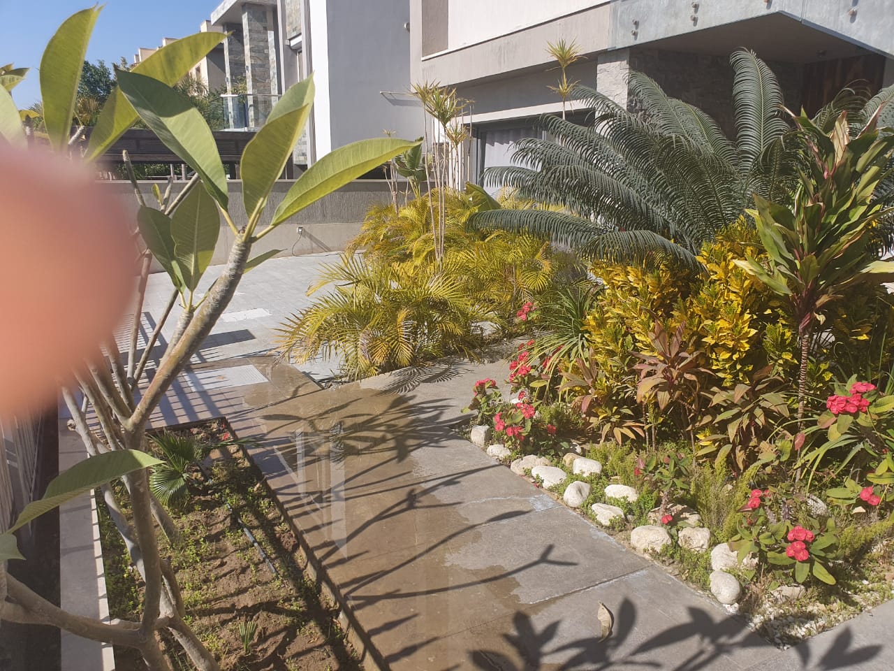Maadi Sarayat Apartment for rent