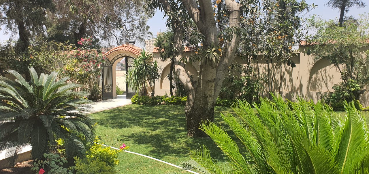 5 Bedroom Villa for rent in Maadi