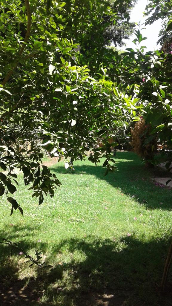 Furnished Villa for rent in Maadi