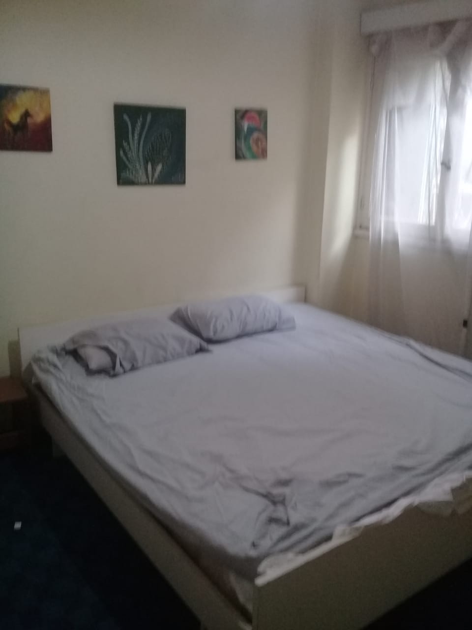 A Ground Floor Furnished Apartment in Degla for rent